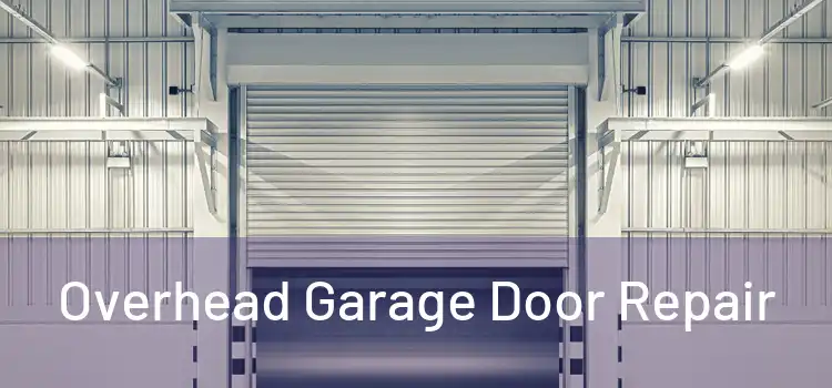  Overhead Garage Door Repair 